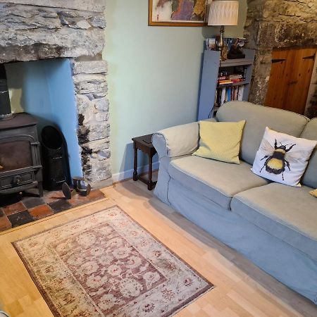 North Wales Cosy Cottage With Views Near Eryri Snowdonia Nantlle Dış mekan fotoğraf